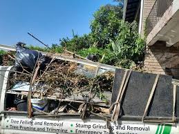 Reliable Pine Valley, CA Junk Removal Solutions